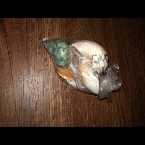 Seashells